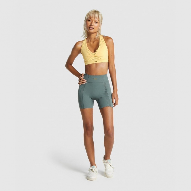 Sujetador Deportivo Gymshark Whitney Mesh Pollen | 51FZEUBCP