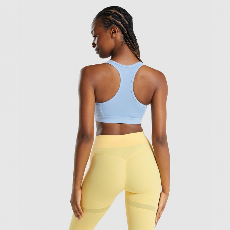Sujetador Deportivo Gymshark Whitney Mesh Azules | 03ANULESV