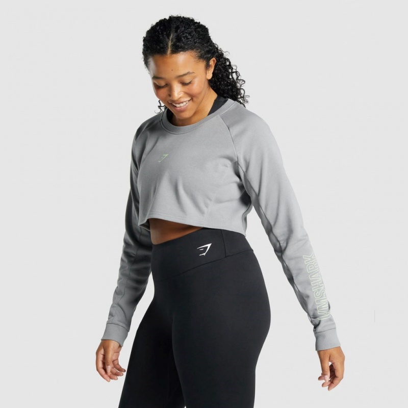 Suéteres Gymshark Apollo Estampadas Cropped Gris | 74XCTMYUH