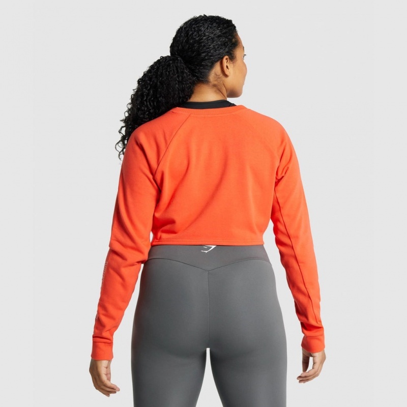 Suéteres Gymshark Apollo Estampadas Cropped Naranjas | 90XDUCRTZ