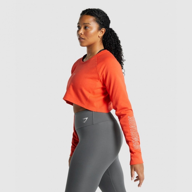 Suéteres Gymshark Apollo Estampadas Cropped Naranjas | 90XDUCRTZ