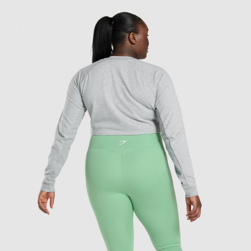 Suéteres Gymshark Entrenamiento Cropped Gris Claro | 47IBDRCQU