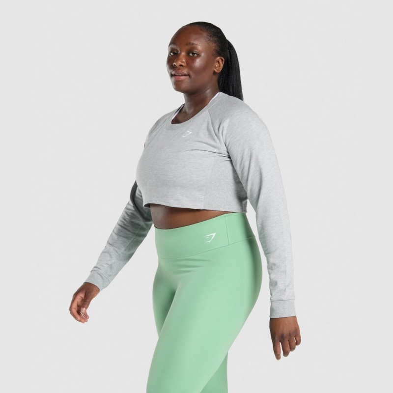 Suéteres Gymshark Entrenamiento Cropped Gris Claro | 47IBDRCQU