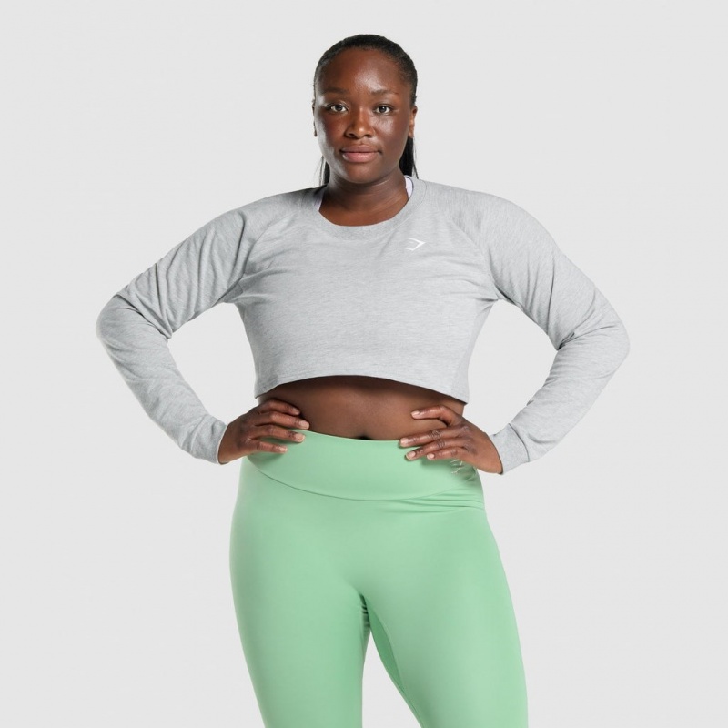 Suéteres Gymshark Entrenamiento Cropped Gris Claro | 47IBDRCQU