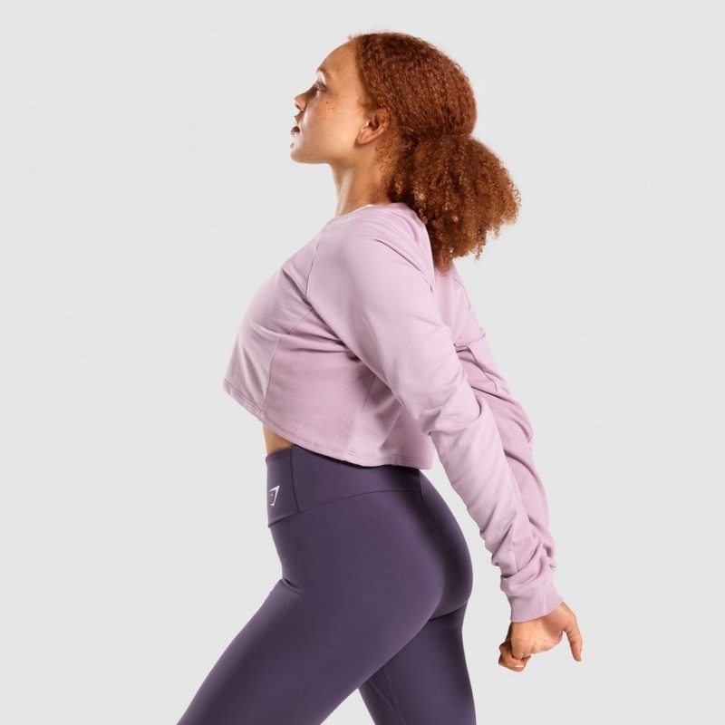 Suéteres Gymshark Entrenamiento Cropped Moradas Claro | 52FPZJCAY