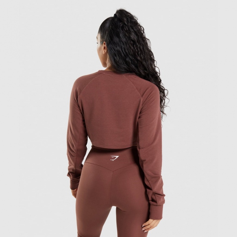 Suéteres Gymshark Entrenamiento Cropped Marrones | 05VRHOUIP