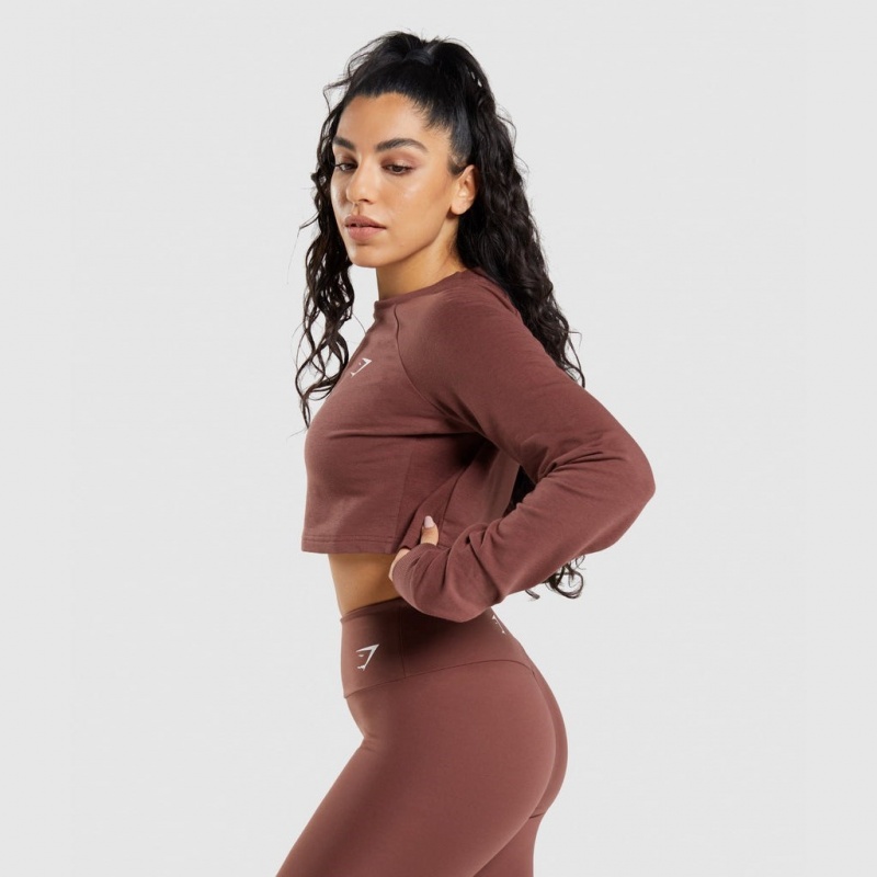 Suéteres Gymshark Entrenamiento Cropped Marrones | 05VRHOUIP