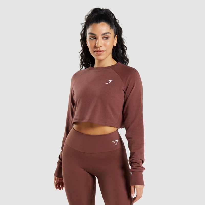 Suéteres Gymshark Entrenamiento Cropped Marrones | 05VRHOUIP