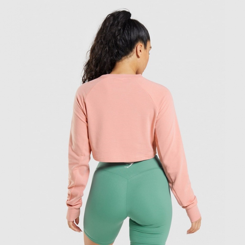 Suéteres Gymshark Entrenamiento Cropped Rosas | 37YKWCBET