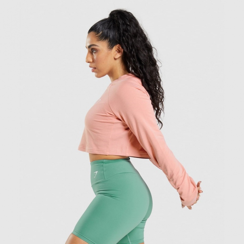 Suéteres Gymshark Entrenamiento Cropped Rosas | 37YKWCBET