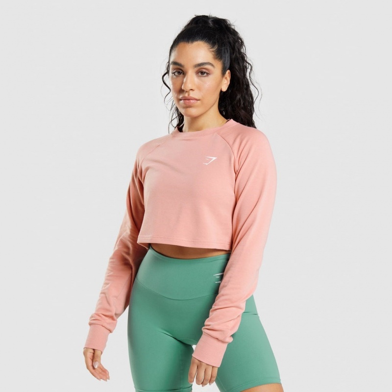 Suéteres Gymshark Entrenamiento Cropped Rosas | 37YKWCBET