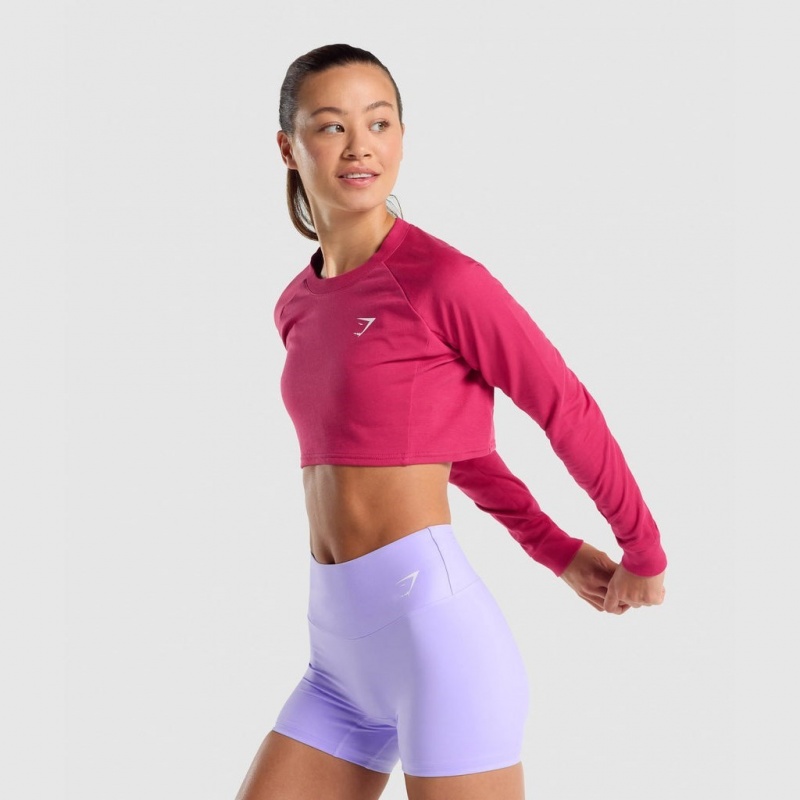 Suéteres Gymshark Entrenamiento Cropped Rosas | 07LUVIEYN