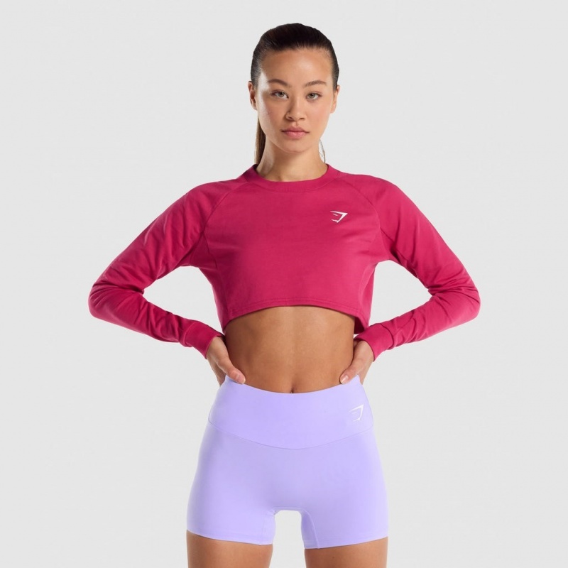 Suéteres Gymshark Entrenamiento Cropped Rosas | 07LUVIEYN